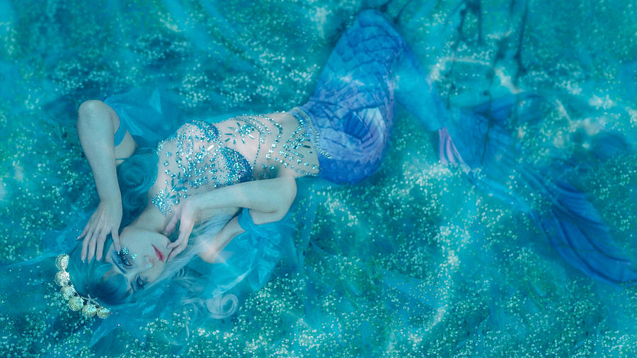 A Blue Mermaid #1 Photograph by Corydoras