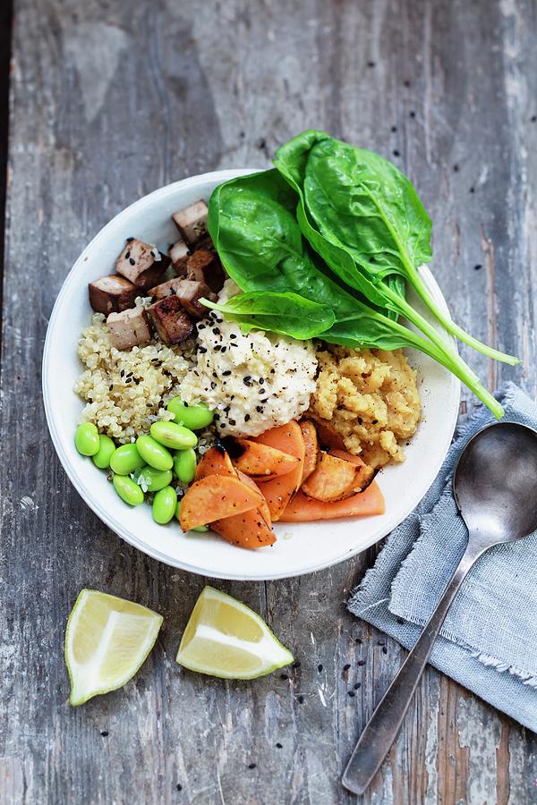 A Buddha Bowl With Quinoa, Lentils, Sweet Potato, Edamame, Tofu, Spinach And Hummus #1 Photograph by Brigitte Sporrer
