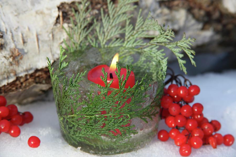 A Burning Red Candle In An Ice Cream Dish Decorated Wit Thuja #1 Photograph by Johanna Von Aesch