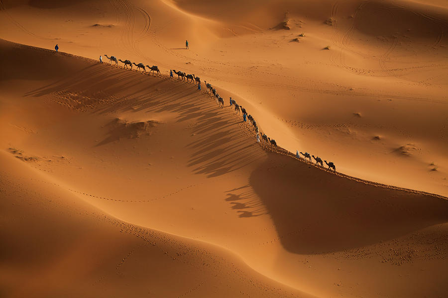 A Caravan Of Camel Merchants, Rider And #1 Photograph by Mint Images - Art Wolfe