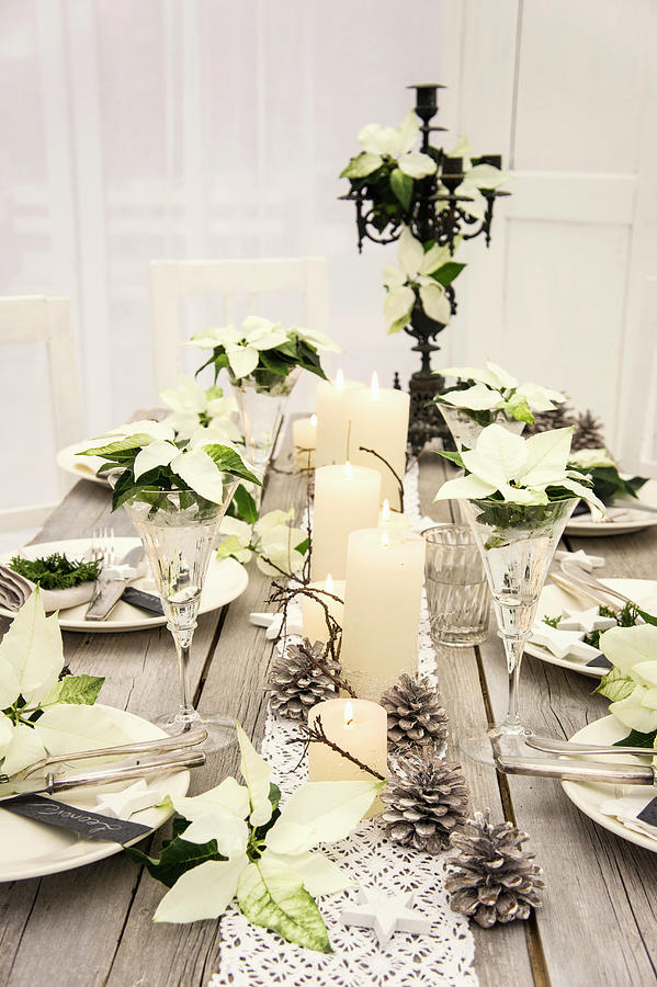 A Christmas Table Laid With White Poinsettias, Candles And Christmas Tree Sprigs On Cutlery With Name Labels #1 Photograph by Martina Schindler