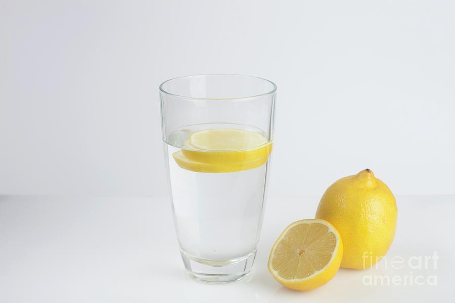 A Glass Of Water With Fresh Lemon Slices #1 Photograph by Cristina Pedrazzini/science Photo Library