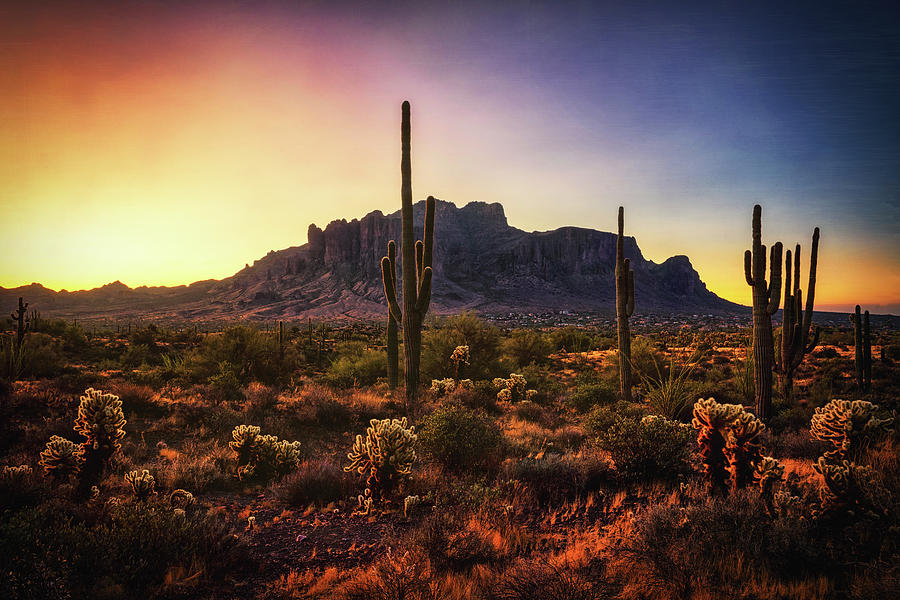 A Glorious Sonoran Morning  #2 Photograph by Saija Lehtonen