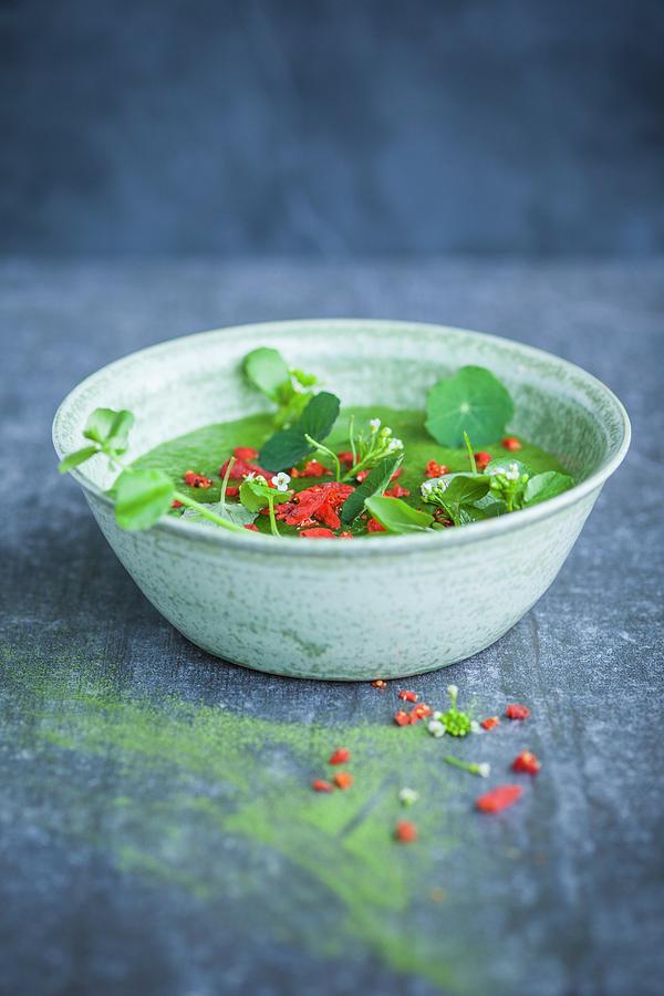 A Green Smoothie Bowl With Cress, Wheatgrass Powder And Goji Berries superfood #1 Photograph by Eising Studio