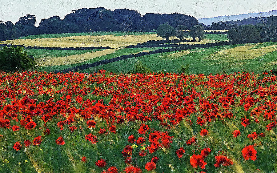A meadow full of red flowers - 03 #1 Painting by AM FineArtPrints