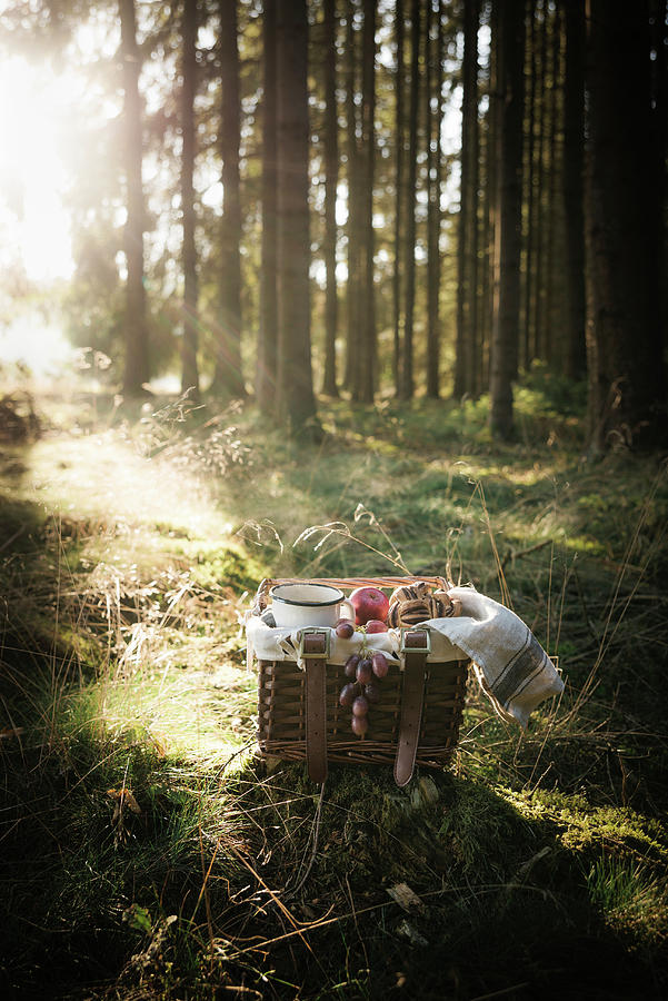 A Picnic Basket In A Forest, Filled With A Vegan Chocolate Bun, Fruit And Coffee #1 Photograph by Kati Neudert