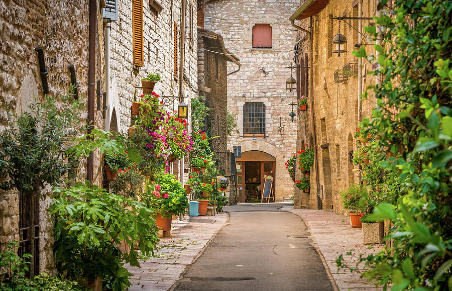 A picturesque sight in Assisi. Photograph by Stefano Valeri - Fine Art ...