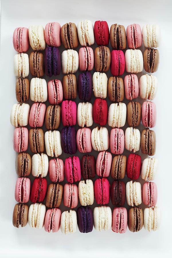 A Rectangle Of Colourful Macaroons #1 Photograph by Charlotte Tolhurst