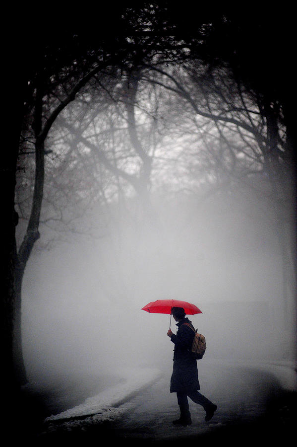 A Red Umbrella Provides The Only #1 Photograph by New York Daily News Archive