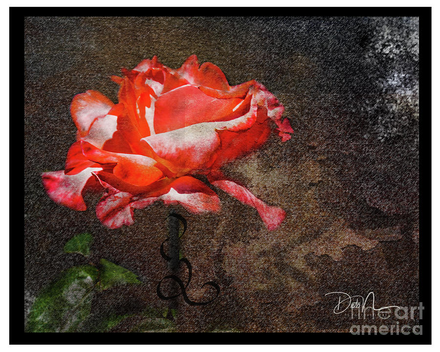 A Rose By..... #1 Photograph by Deb Nakano