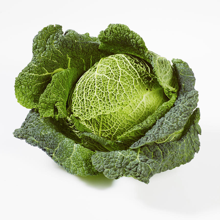 A Savoy Cabbage On A White Background #1 Photograph by Peter Rees