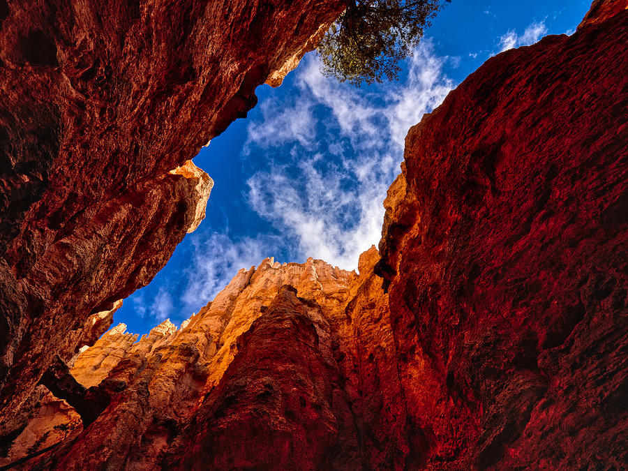 National Parks Photograph - A Scene In Bryce Canyon National Park #1 by Anchor Lee