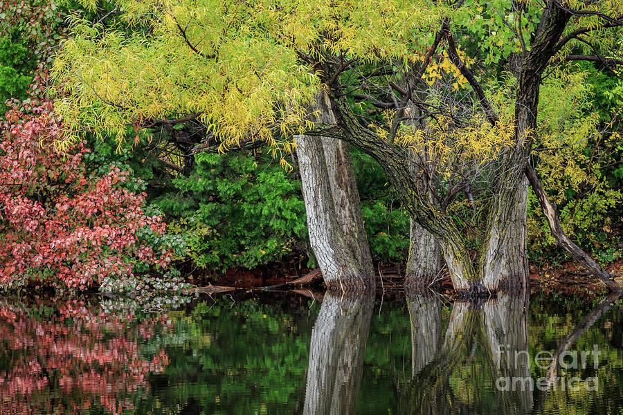 A small hidden pond in fall color in Oklahoma City #1 Photograph by Richard Smith
