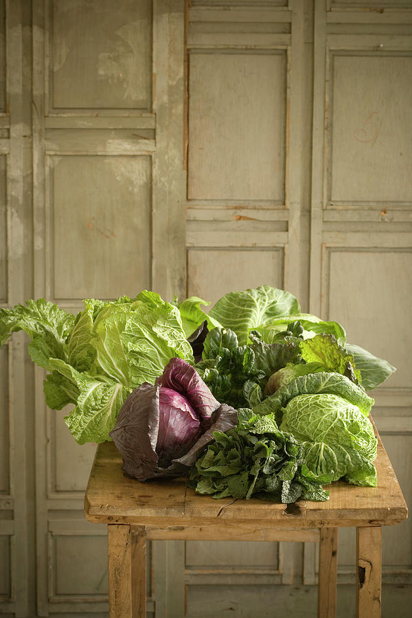 A Still Life With Different Cabbages #1 Photograph by Colin Cooke