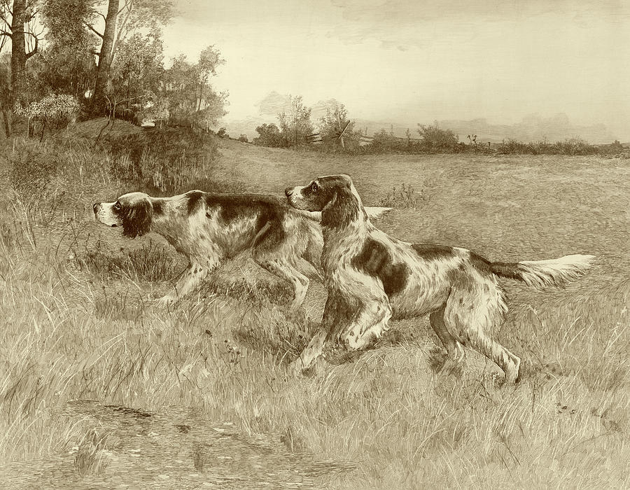 Dog Painting - A Thrilling Moment #1 by E.h. Osthaus