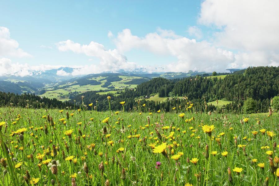 A View From Moosegg canton Of Bern, Switzerland Into Emmental And The Bernese Alps #1 Photograph by Hug, Karl-heinz