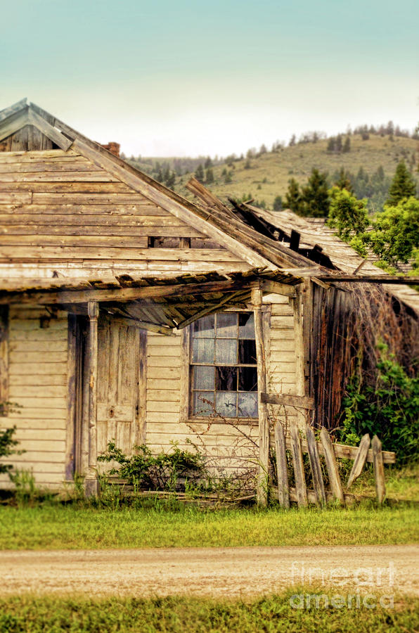 Abandoned Cottage #1 Photograph by Jill Battaglia