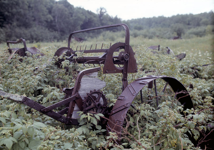 Abandoned Plow #1 Photograph by Robert Natkin