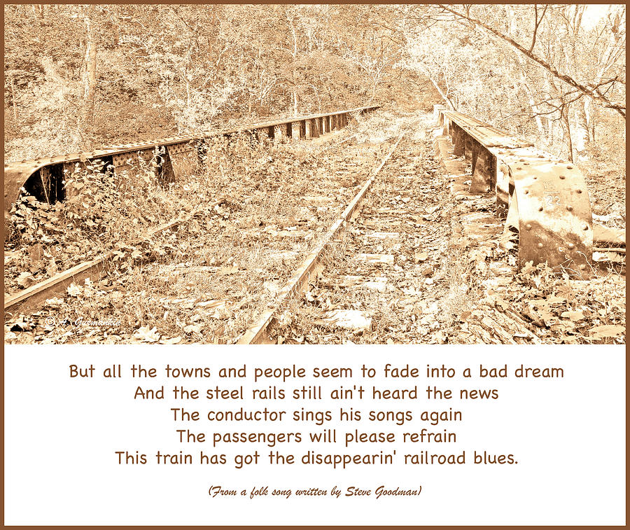 Abandoned Railroad Tracks  #1 Photograph by A Macarthur Gurmankin