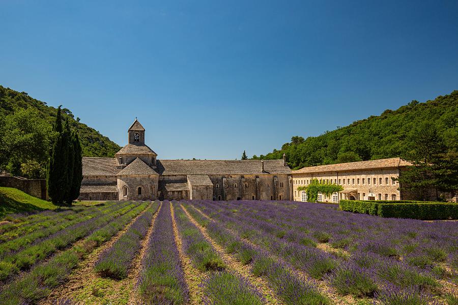 Architecture Photograph - Abbey Of Senanque And Blooming Rows #1 by Levente Bodo