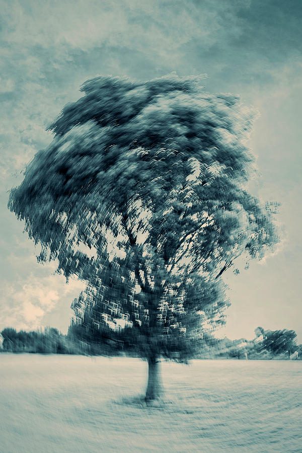 Abstract Of Tree In The Middle Of A Field #1 Digital Art by Laura Diez