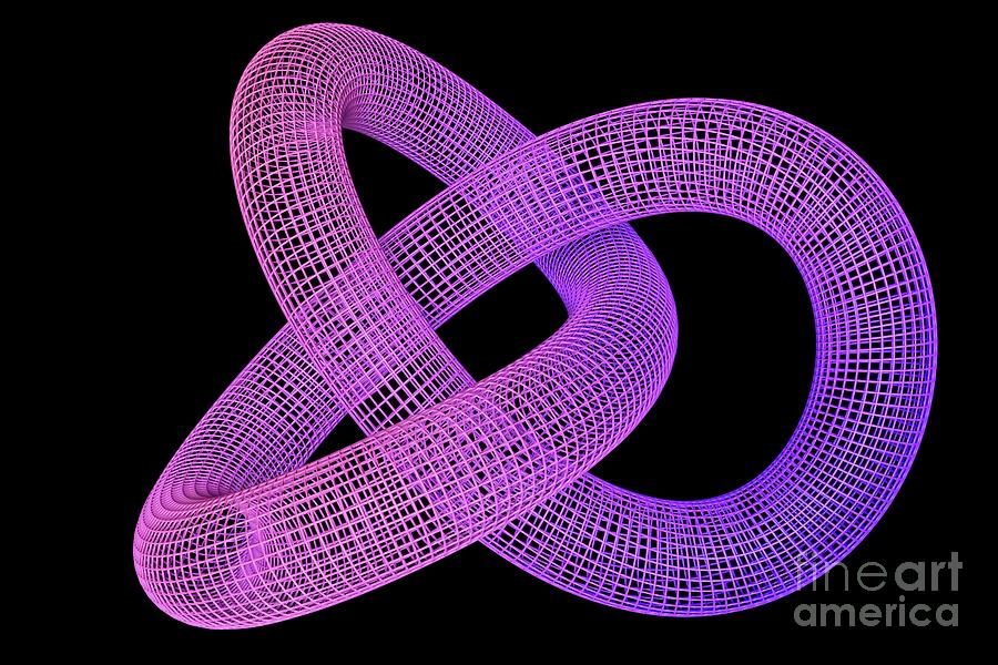 Abstract Photograph - Abstract Torus Knot #1 by Steven Mcdowell/science Photo Library