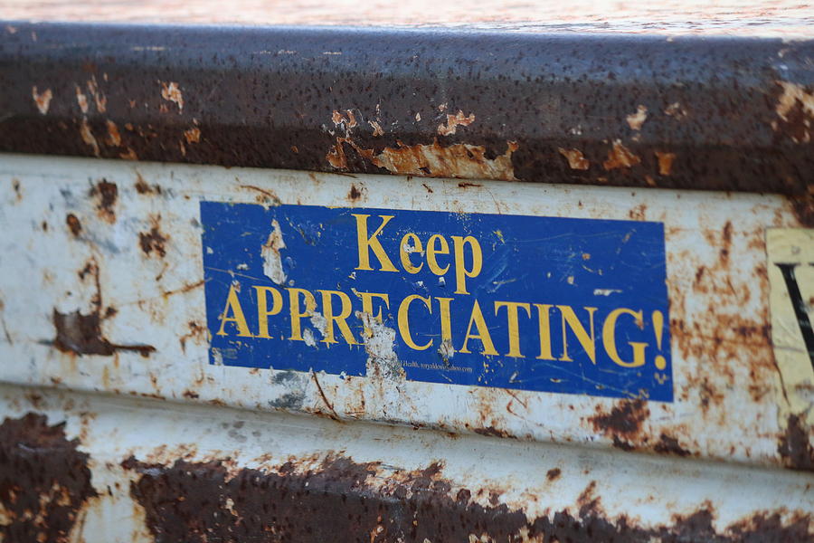 Keep Appreciating Photograph by Christy Pooschke