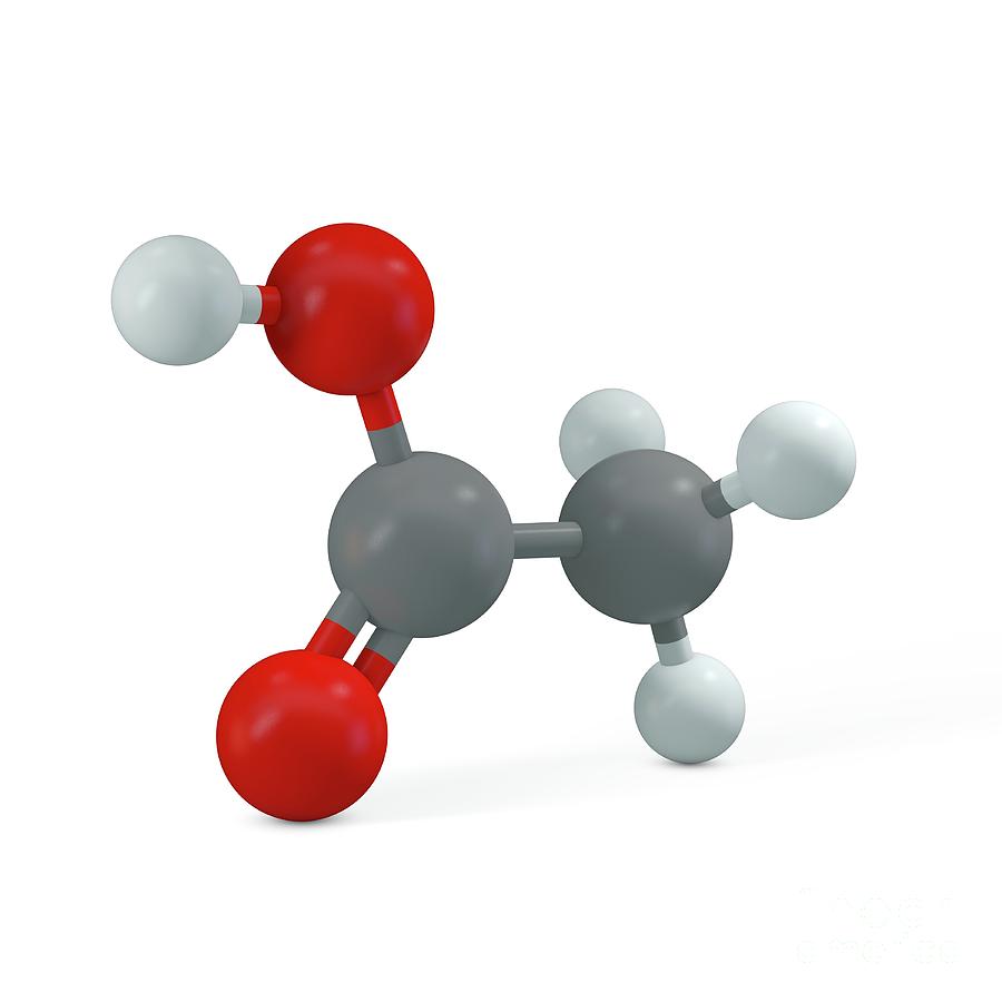 Acetic Acid Molecule Photograph By Adam Brackenbury Science Photo   1 Acetic Acid Molecule Adam Brackenburyscience Photo Library 