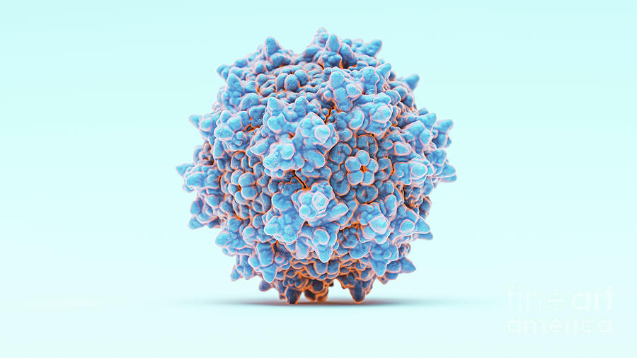 Adeno-associated Virus #1 Photograph by Thom Leach / Science Photo Library