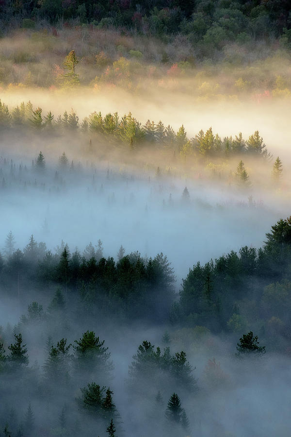 Adirondack Fog by Brad Wenskoski Adirondack Fog by Brad Wenskoski