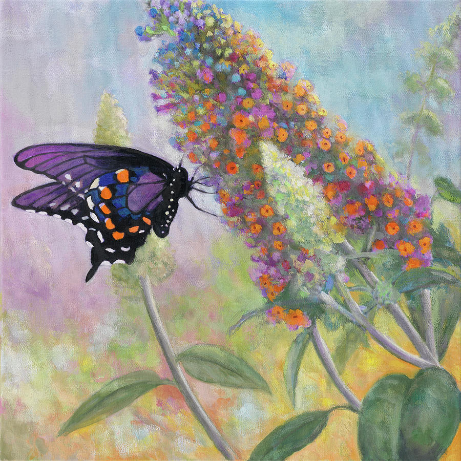 Admiral Butterfly Painting by John Zaccheo - Fine Art America