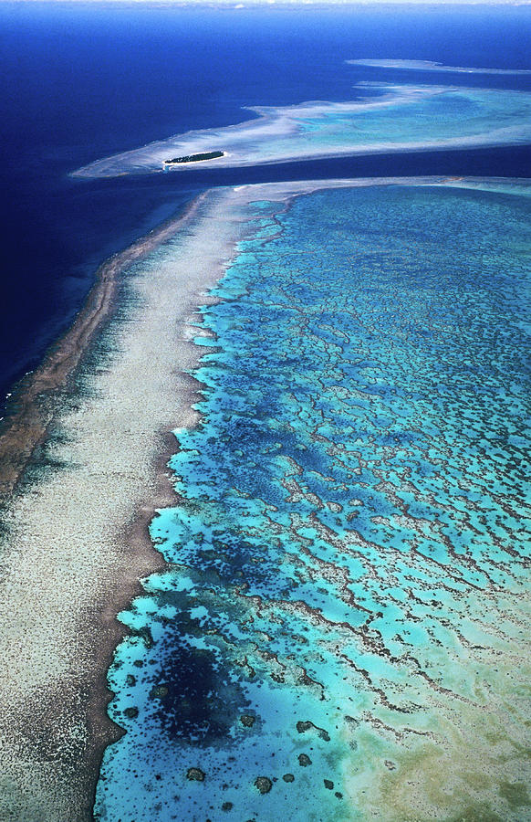 Aerial Of Heron Island And Wistari Reef #1 Photograph by Holger Leue