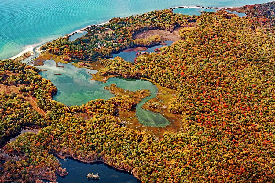 Aerial Of Long Island Foliage, Ny #1 Digital Art by Claudia Uripos