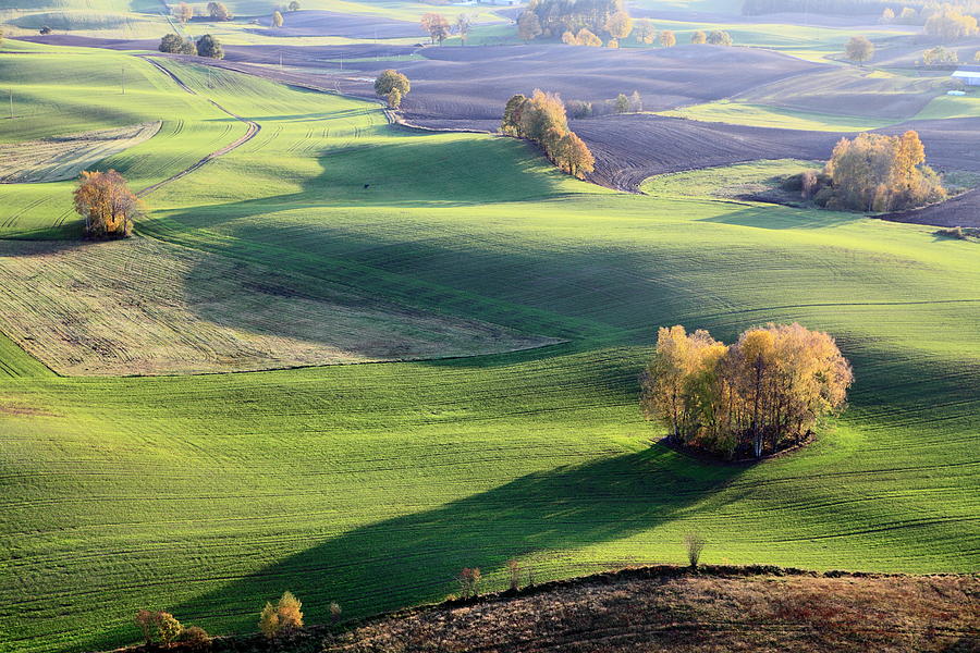 Aerial Photo Of Farmland. Autumn #1 Photograph by Dariuszpa