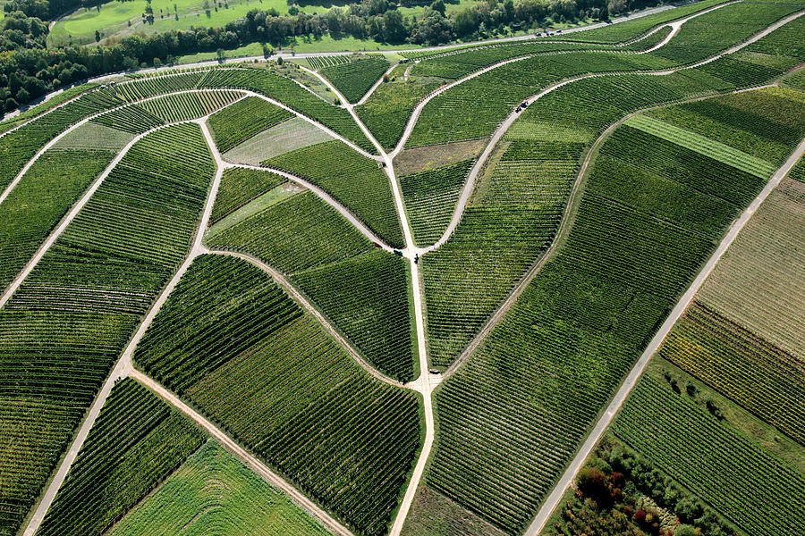 Aerial Shot Of German Vineyards #1 Photograph by Hans-peter Merten