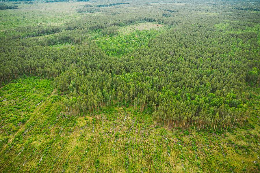 Nature Photograph - Aerial View Of Deforestation Area #1 by Ryhor Bruyeu