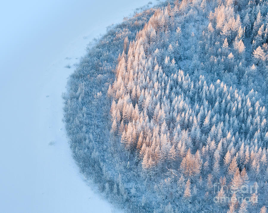 Forest Photograph - Aerial View Of Forest River In Time Of by Vladimir Melnikov Forest Photograph - Aerial View Of Forest River In Time Of by Vladimir Melnikov