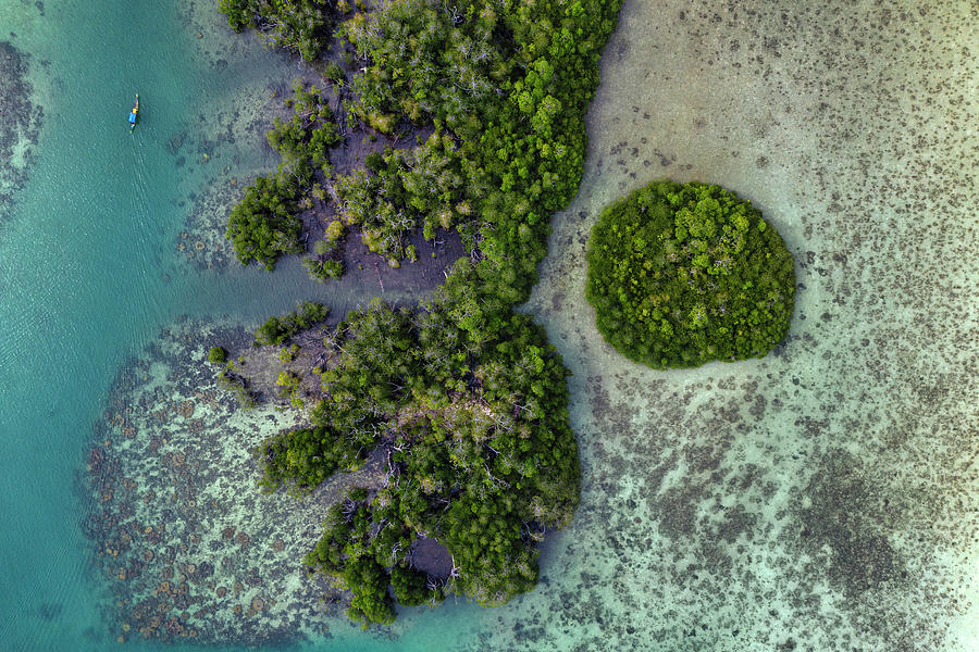 Aerial View Of Mangrove Forest, Banyak, Indonesia Photograph By Cavan 