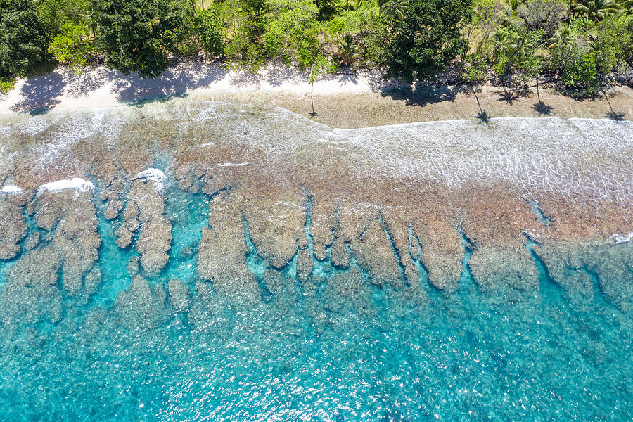 Aerial View Of Reef And Island In Papua #1 Photograph By Ethan Daniels 