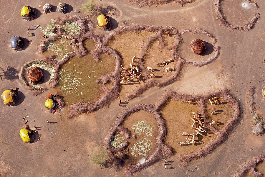 Aerial View Of Rendille Village Huts #1 Photograph by Nhpa