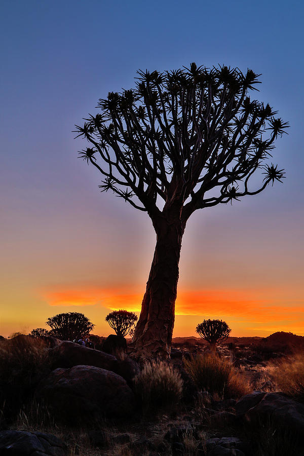 Nature Photograph - Africa, Namibia, Keetmanshoop, Sunset #1 by Hollice Looney