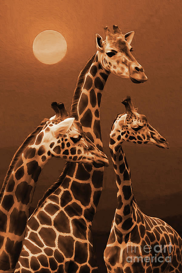 African Giraffe 01 #1 Painting by Gull G