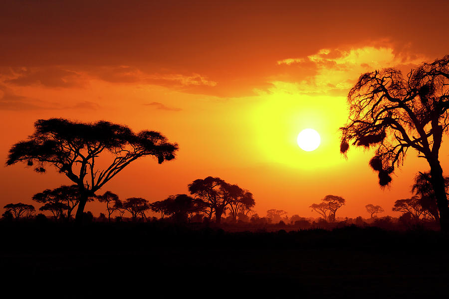 African Sunset 1 By Ivanmateev 2376