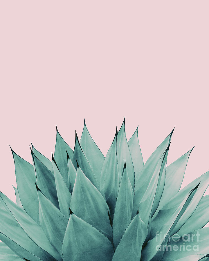 Nature Photograph - Agave Vibes #5 #tropical #decor #art  #1 by Anitas and Bellas Art