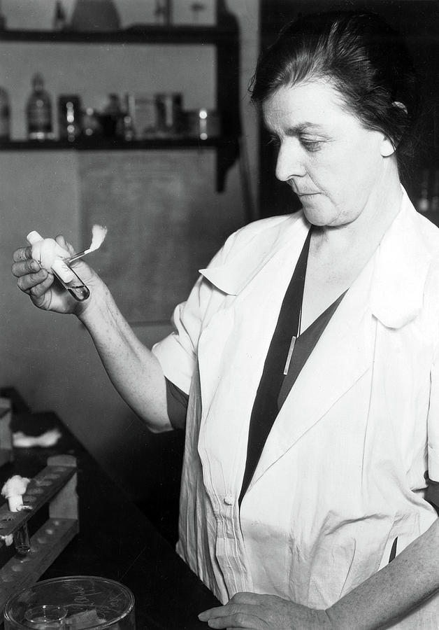 Agnes J. Quirk, American Bacteriologist #1 Photograph by Science Source
