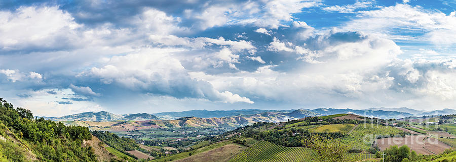 Nature Photograph - Agriculture and nature in Romagna hills by Vivida Photo PC