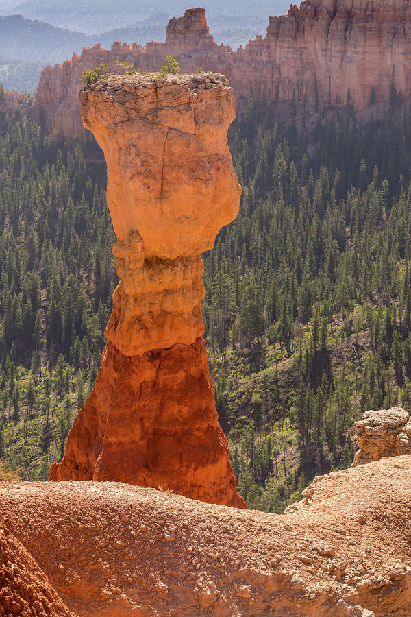 Agua Canyon Formation - Bryce Canyon - Utah Photograph by Debra Martz