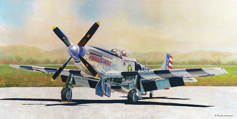 Airshow Mustang by Douglas Castleman Airshow Mustang by Douglas Castleman