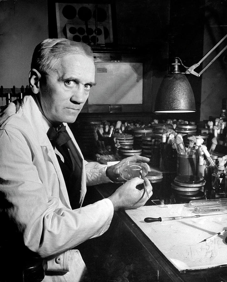 Alexander Fleming #1 Photograph by Hans Wild