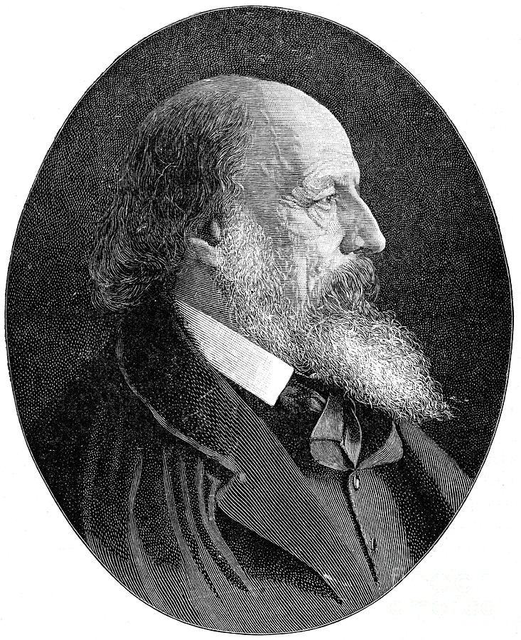 Alfred Tennyson, 1st Baron Tennyson #1 Drawing by Print Collector